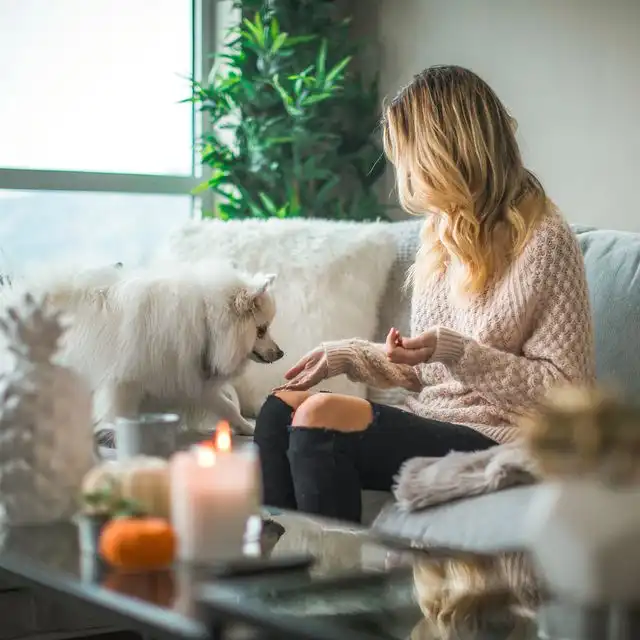 Haushalte in Mannheim Seckenheim