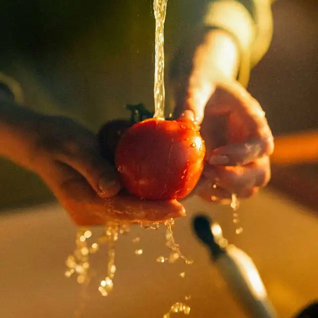 Wasserqualität in Berlin Rummelsburg