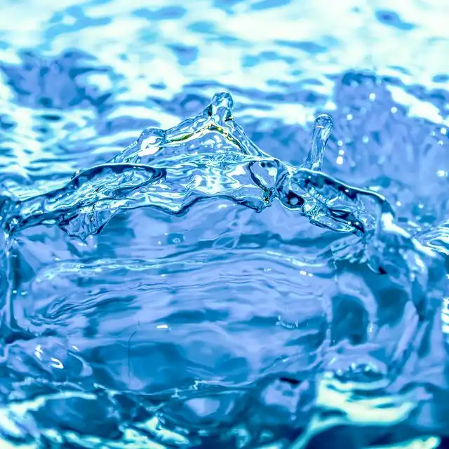 Wasserqualität in Berlin Wedding