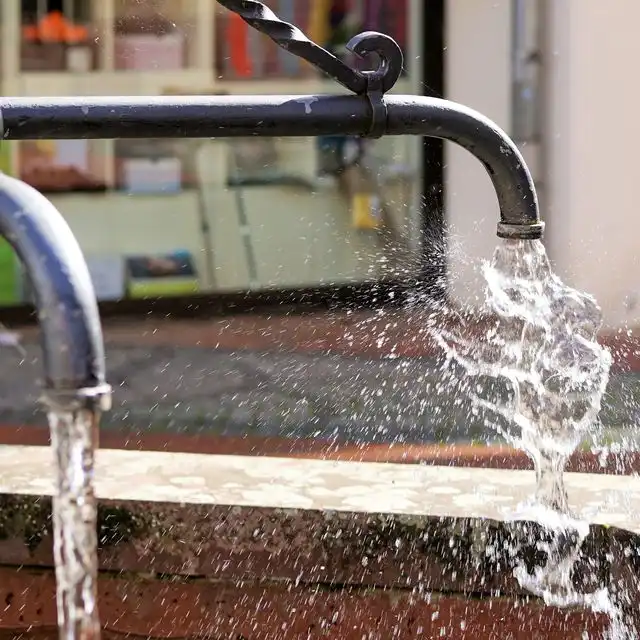 Wasserqualität in Mannheim Neckarau