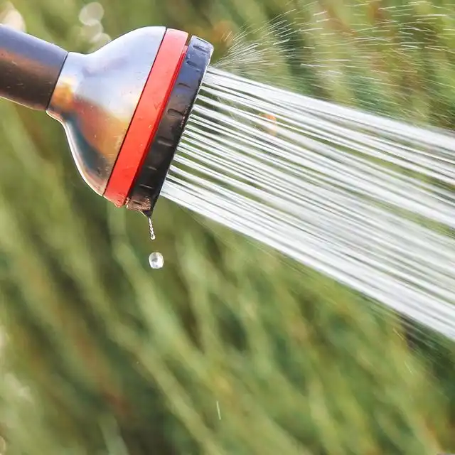 Wasserqualität in Berlin Schmöckwitz